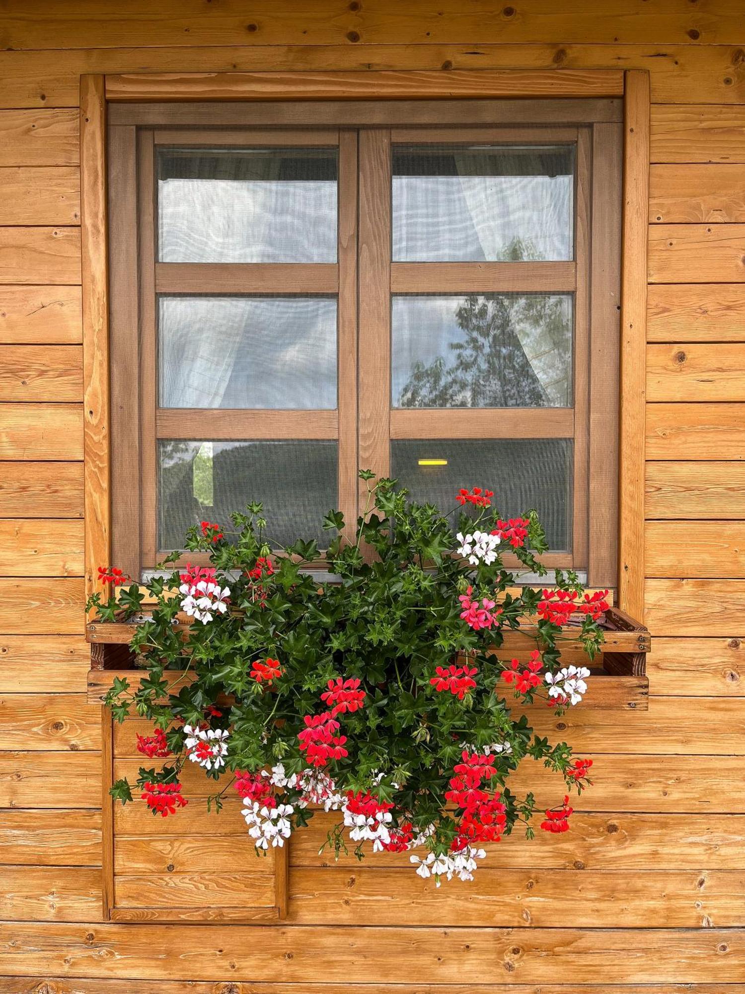 Ranch Jelov Klanac Apartment Rakovica Exterior photo
